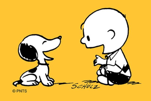 CHARLIE BROWN - LA SERIE