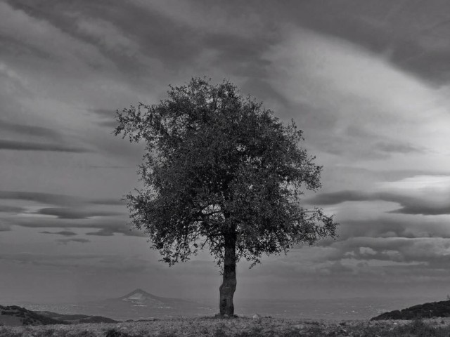 VIENTO - CUENTO CORTO